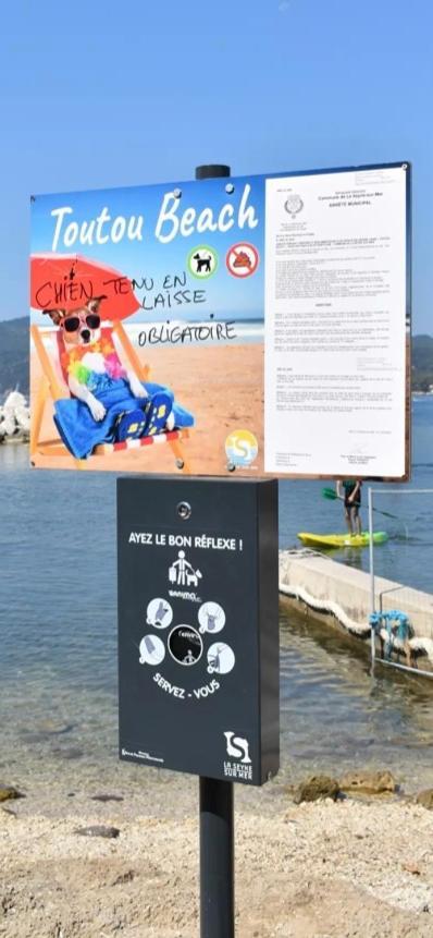Studio Le Monroe Les Pieds Dans L'Eau 10 M De La Mer La Seyne-sur-Mer Dış mekan fotoğraf